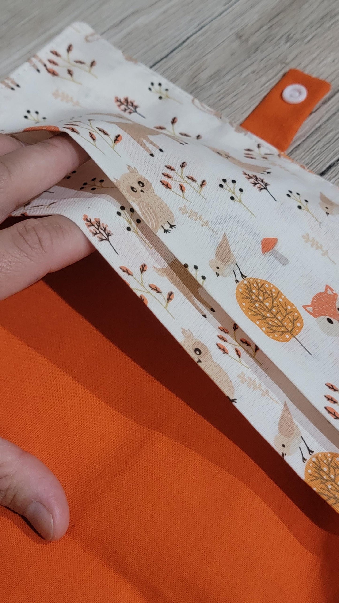 Protège carnet de santé