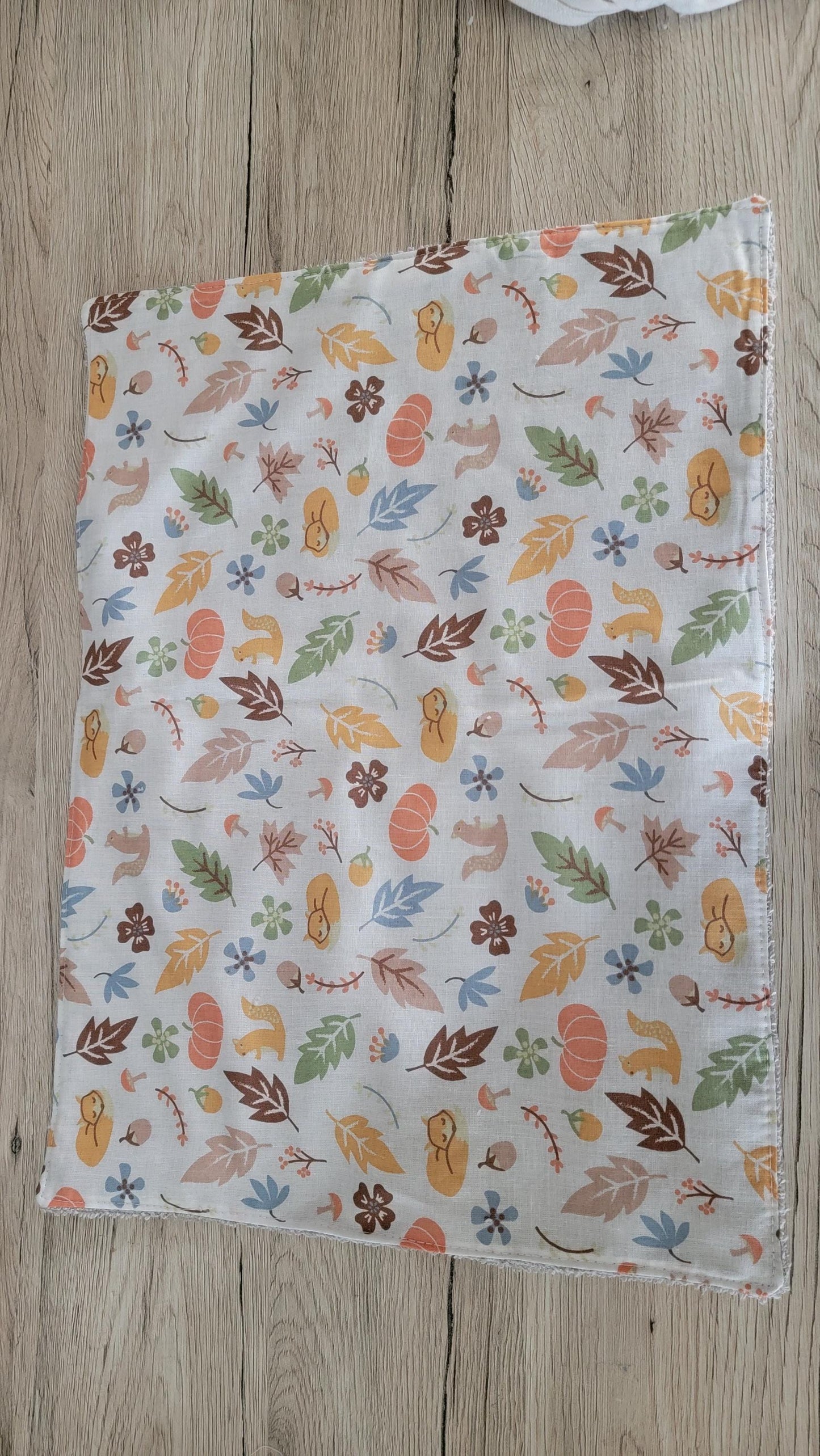 Dish drying mat with 2 paper towels